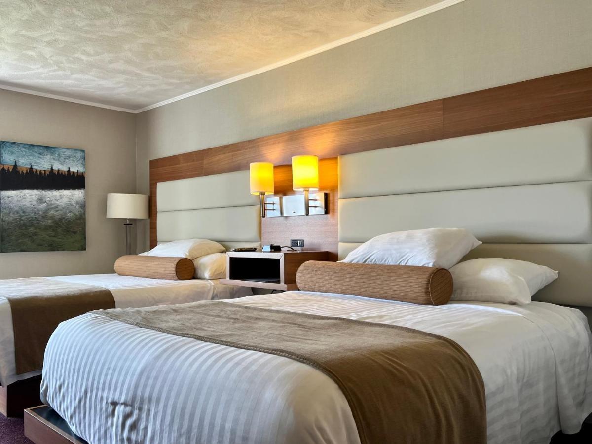 Atlantic Host Hotel, Trademark Collection By Wyndham Батерст Экстерьер фото